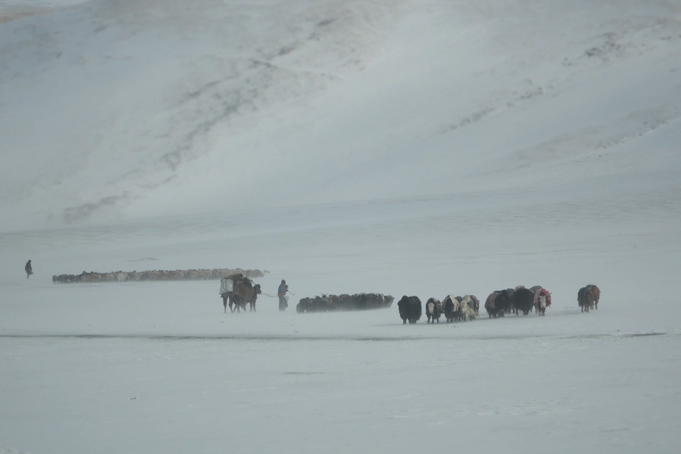 Witness the eagle hunters’ migration — a rare photography tour through Mongolia’s Altai Mountains