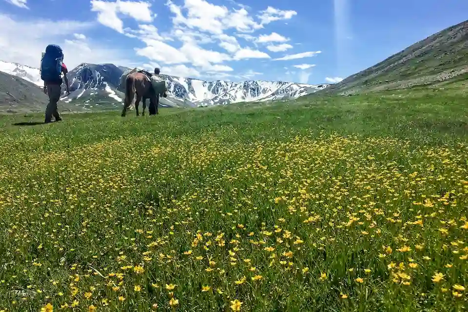 Trekking through the Altai — vibrant meadows and towering peaks in Mongolia’s most scenic national park