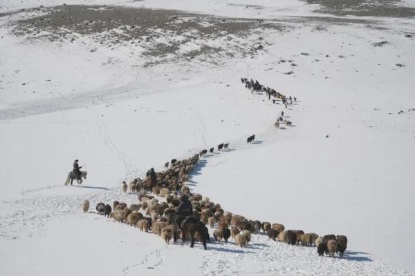 Eagle hunters migration photography expedition