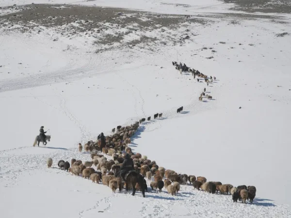 Nomadic eagle hunters migration photography