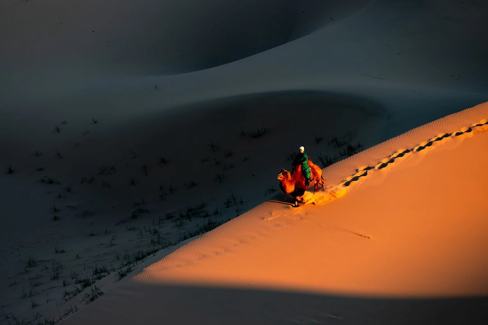 A camel rider moves through glowing dunes — sunset solitude in Mongolia’s Gobi Desert