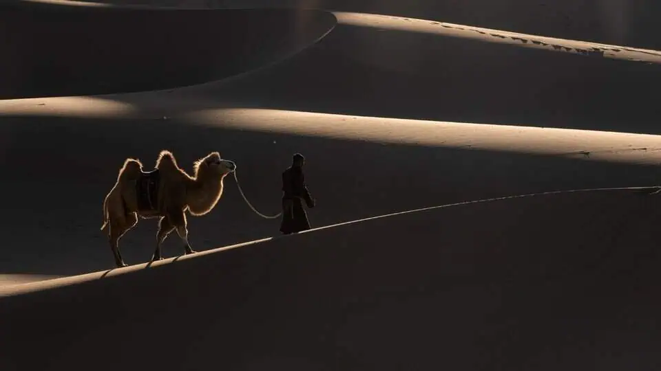 A traditional traveler leads a two-humped camel across dramatic desert terrain