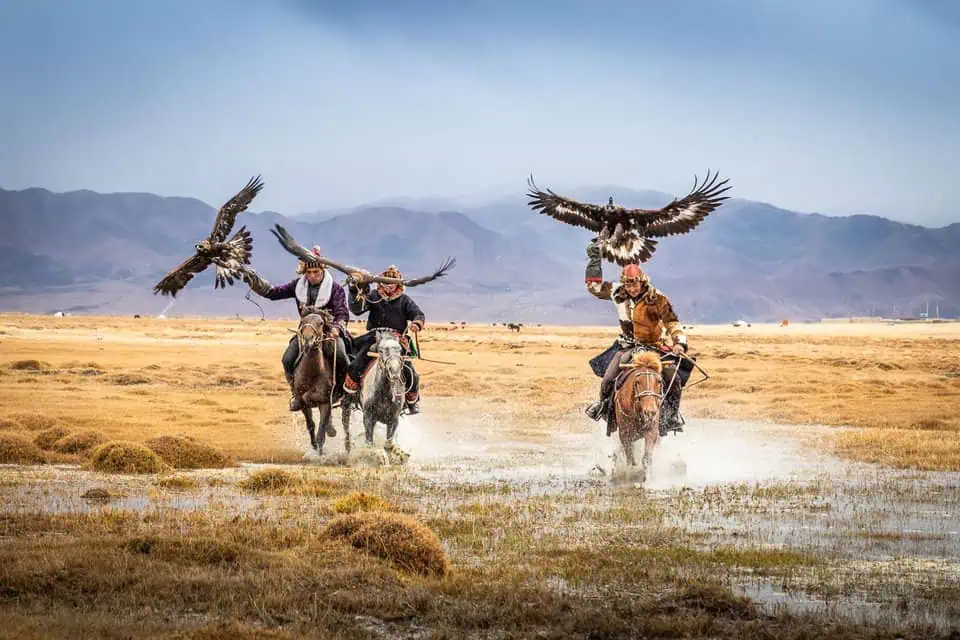 Eagle hunters gallop across the steppe, releasing their trained golden eagles during a traditional hunting demonstration.