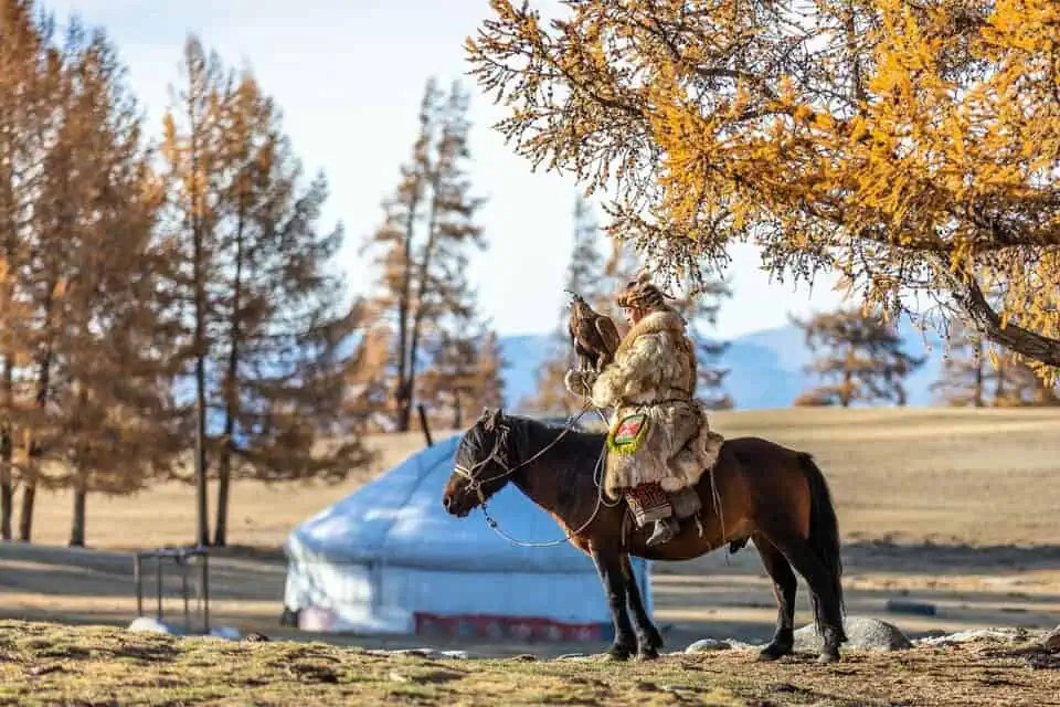 Kazakh eagle hunter on horseback holding a golden eagle near a traditional ger in Western Mongolia.