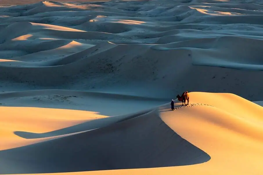 WhatsApp Image 2025-11-24 at 6.32.46 AM (1)