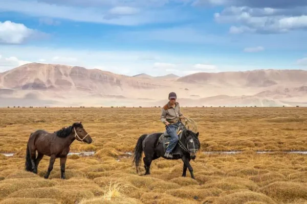 horseback mongolia