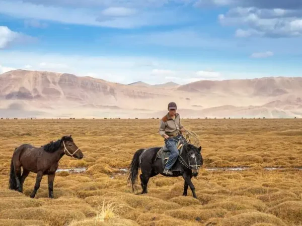 horseback mongolia