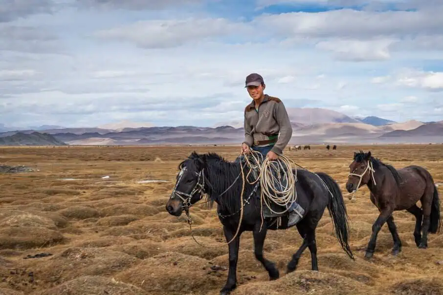 Horseback rider with rope leading two horses across Mongolia’s Altai steppe under mountain skies