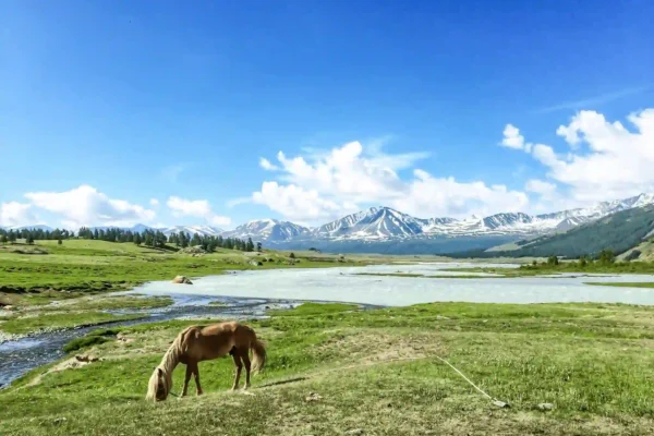Altai Tavan Bogd National Park Tour