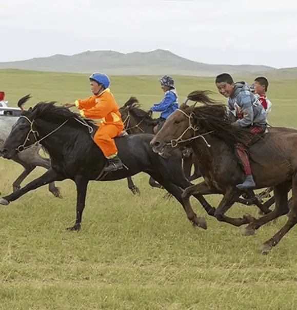 Youth riders gallop across the plains in a vibrant cultural event