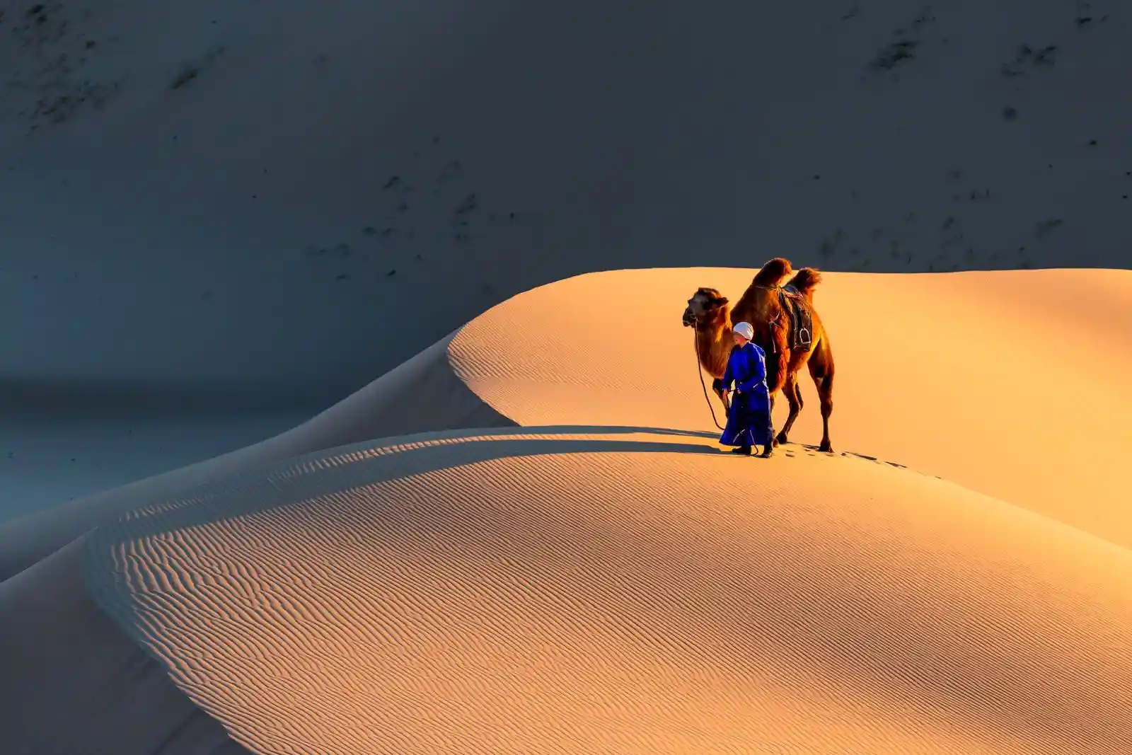 A traveler in vibrant blue guides a camel over rippled sand dunes under dramatic desert light