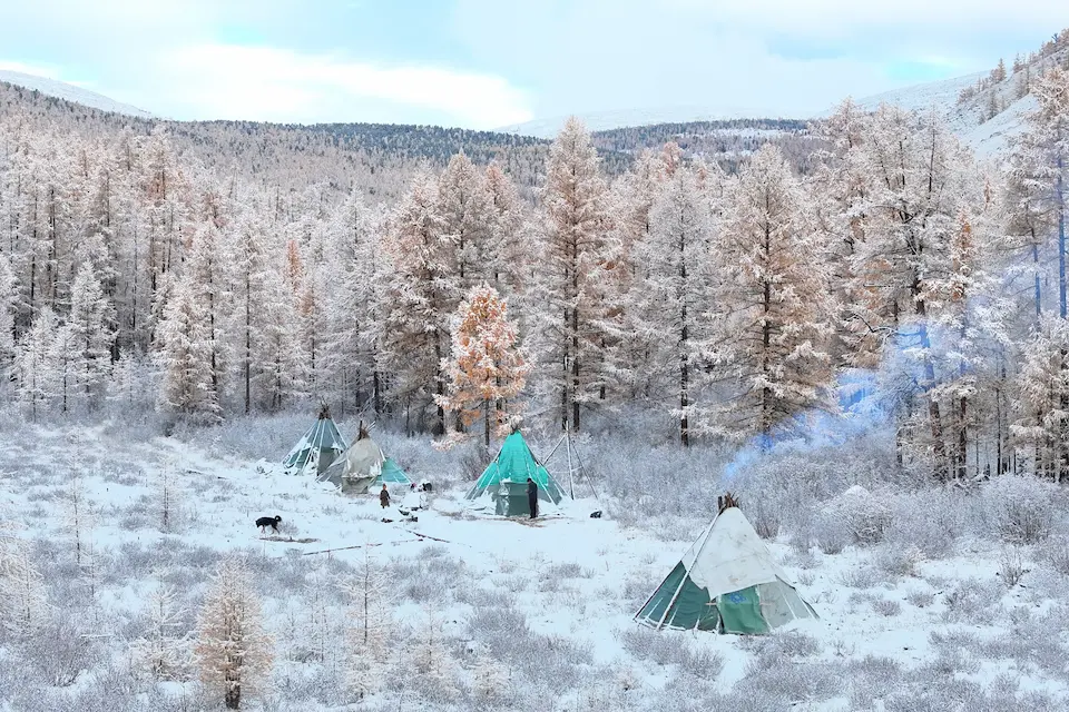 Snowy Taiga Camp of Mongolian Reindeer Herders