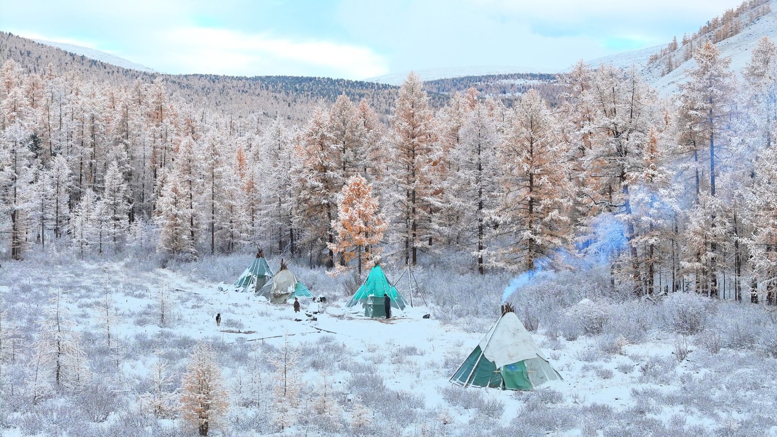 A Tsaatan reindeer herder camp of traditional tents in a snow-covered taiga forest