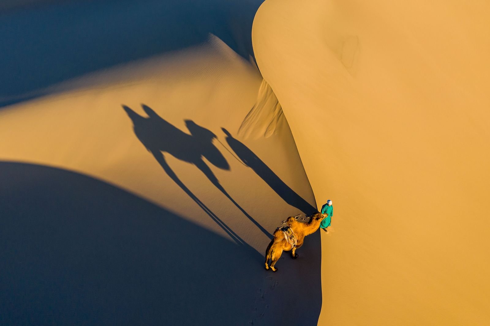 A camel and rider crossing golden sand dunes in the Gobi Desert