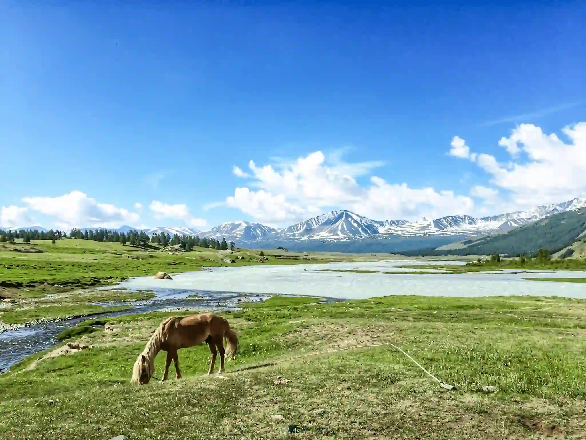 the Altai Mountains