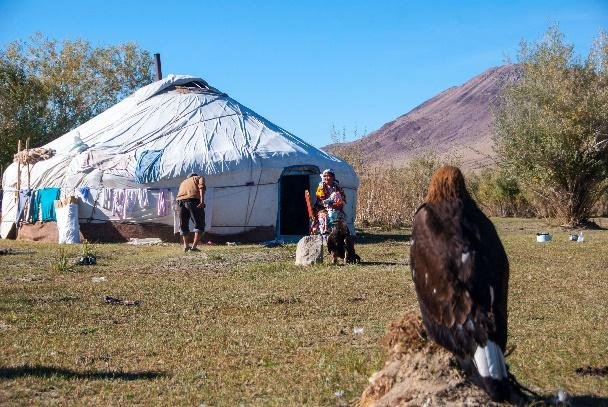 A Kazakh family ger in Bayan-Olgii province with their golden eagle perched outside