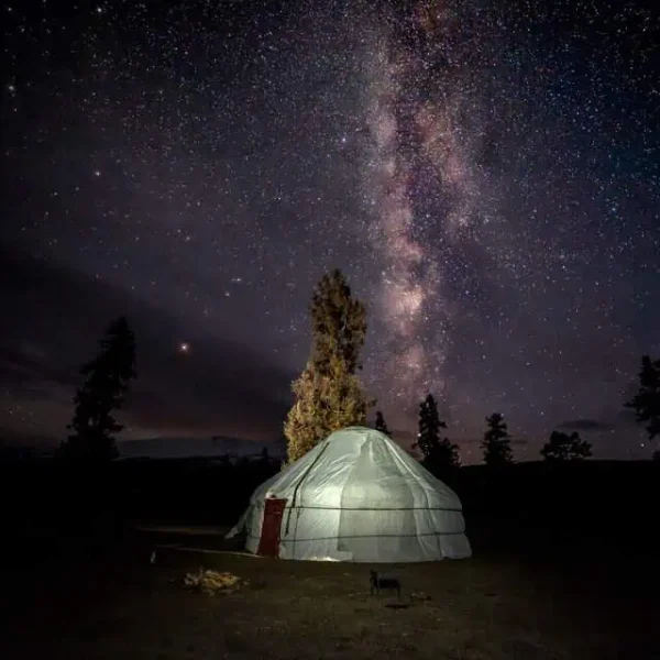 WhatsApp Image 2025-11-24 at 6.38.23 AM